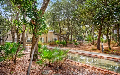 Hidden Dunes Beach Cottage 208- Dune Our Thing 6