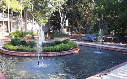 Hidden Dunes Beach Cottage 149 5