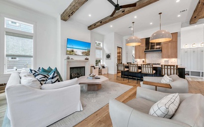 Sandpiper in Watercolor 2