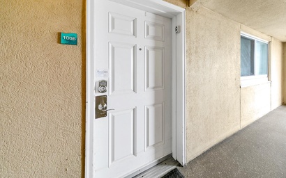 Emerald Beach 1036 - Turquoise Turtle 7