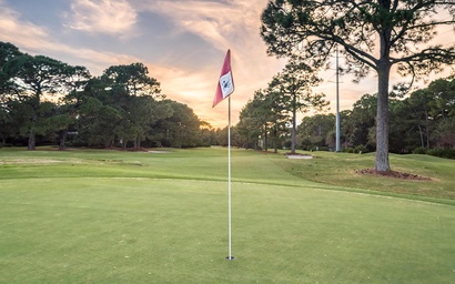 Lasata Grand Sand Dollar 5