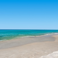 Dolphin Point #501A 3