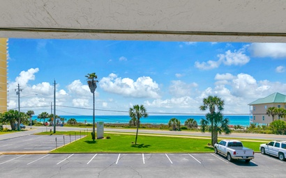 Endless Summer A21 2