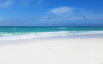 Majestic Beach Towers 1-2113 4