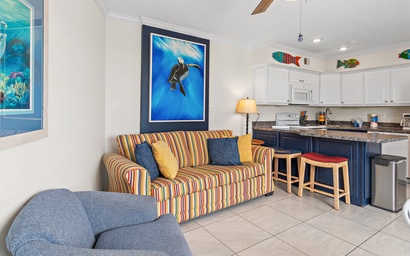 Capri by the Gulf 101 6