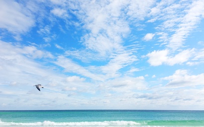 Seascape Lakefront Villas 114- Beach Break 4