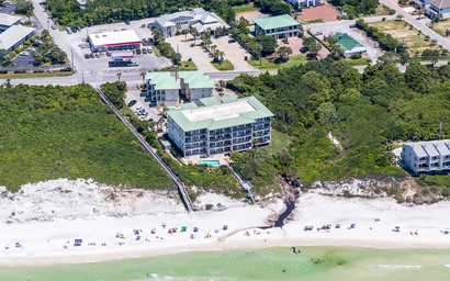 Legacy 502 - Abalone 4