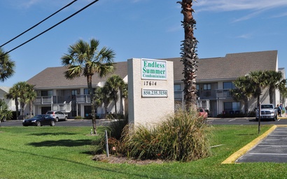 Endless Summer F11 5