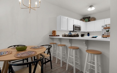 Heron's Watch Way 4104- Coach's Sand Dollar 5