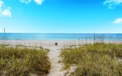 Modern Beach Bungalow 4