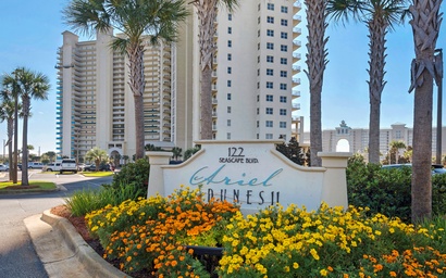 Ariel Dunes II 607 7