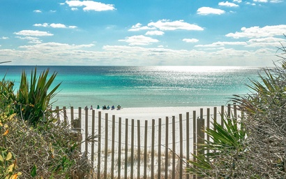 Octopus's Garden NatureWalk 30A 3