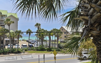 Caribbean Dunes 203 2