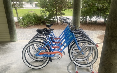 Bluebonnet by the Beach 4