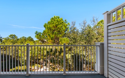 Lasata Grand Sand Dollar 2