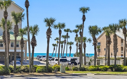 Caribbean Dunes 105 3