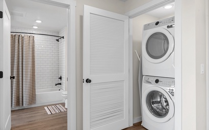 Cactus Blossom Oasis 24