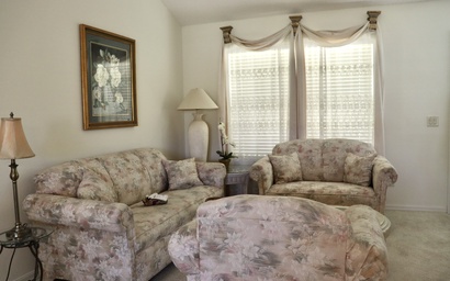 2074 Z3A Village of Tall Trees 3