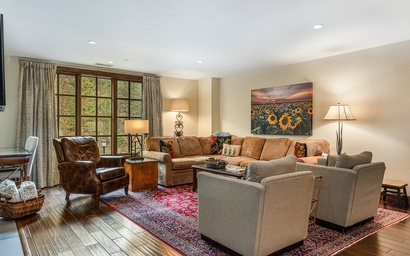 Ascent Condo 309 5