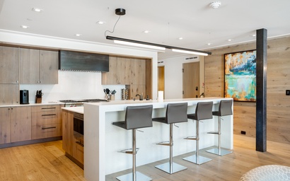 Red Lion Penthouse 10