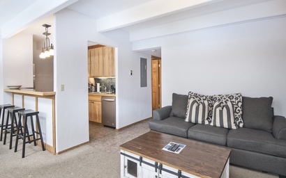 Vantage Point Condo 314 4