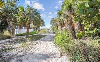 Beach Life 5 6