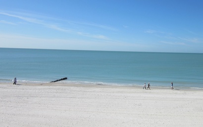 Trillium 2C - Premier 5