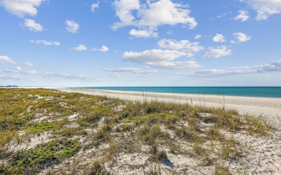 Beach Life 5 5