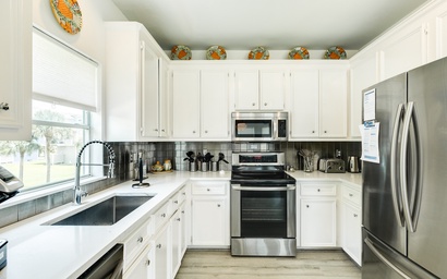 Spoonbill Sanctuary 10