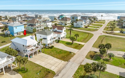 Spoonbill Sanctuary 2