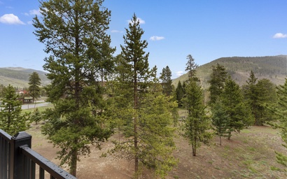Pines #2041 4