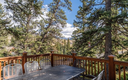 217 Summerwood Drive 8