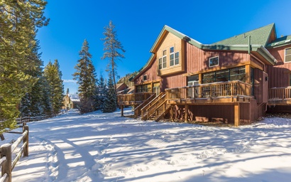Ski Tip #8723 4