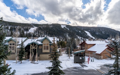 Snake River Village #37 3
