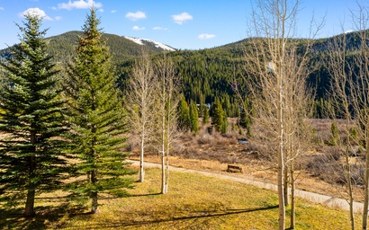 Red Hawk Townhome #2349 3