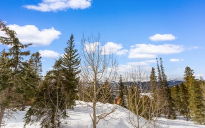 Rockridge #47 3