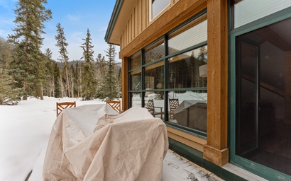 Ski Tip #8716 2