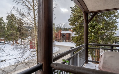 The Corral at Breckenridge #209W 3