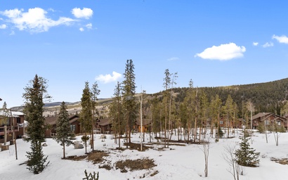 Alders #799 5