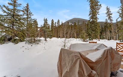 Ski Tip #8716 3