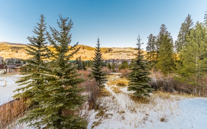 Ironwood #2997 3