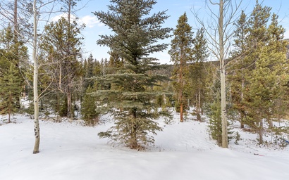 Settlers Creek #6522 5