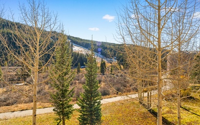 Red Hawk Townhome #2349 7