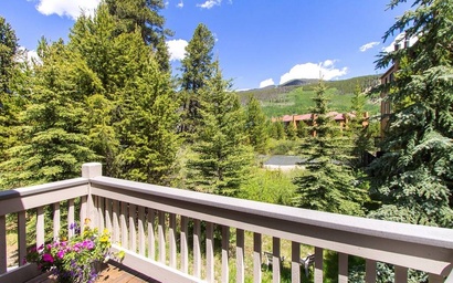 Ironwood #2990 2