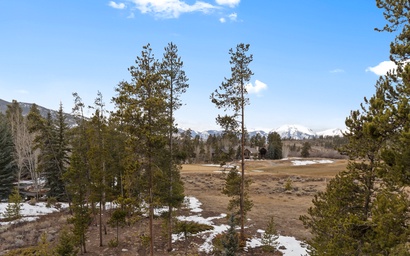 Pines #2124 8