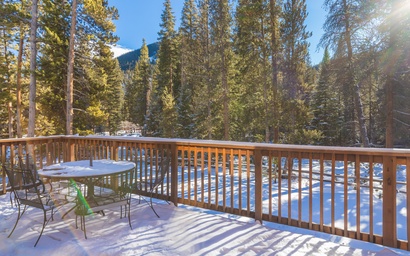 Ski Tip #8723 3