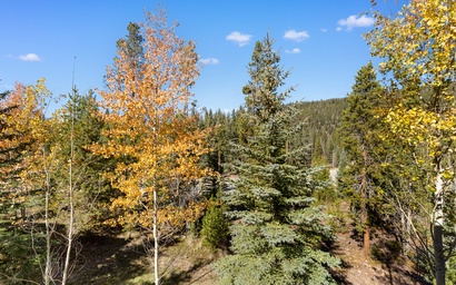 Settlers Creek #6523 4