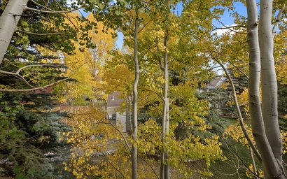 Prospect Point Townhomes #202C 3