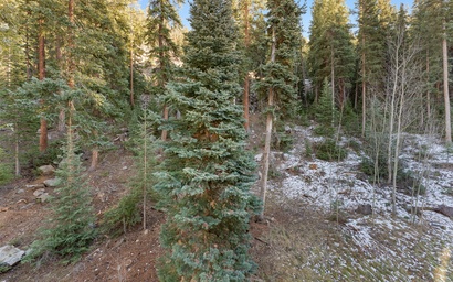 Settlers Creek #6501 4