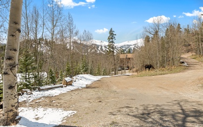 162 Robbers Nest 2
